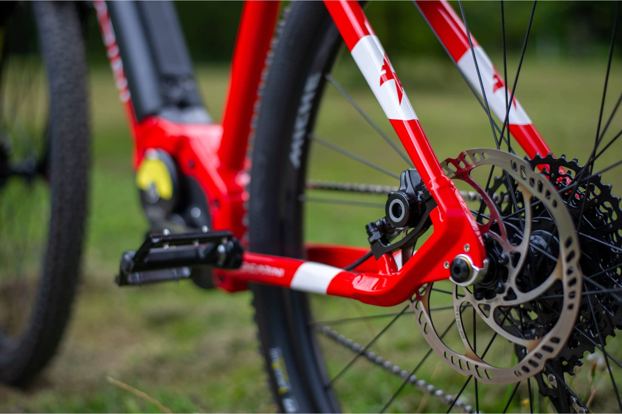 Focarini Certo view 6