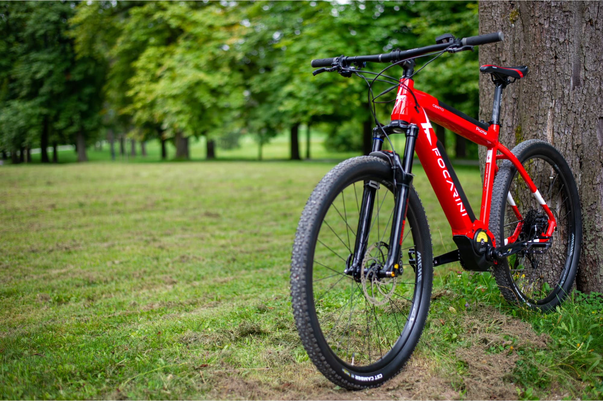 Focarini Certo view 8